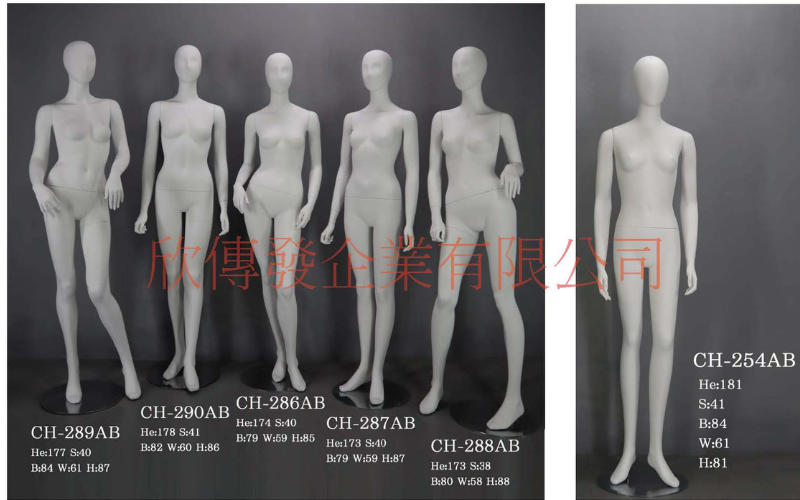女全身模特兒(268)-有頭