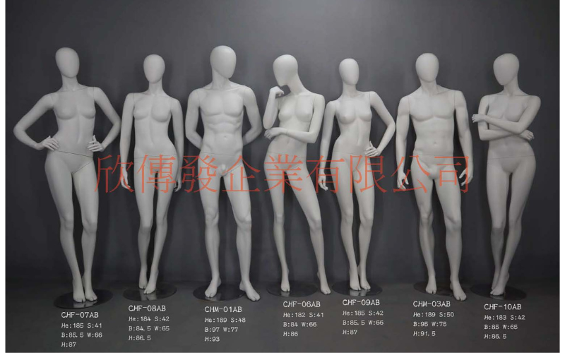 女全身模特兒(268)-有頭