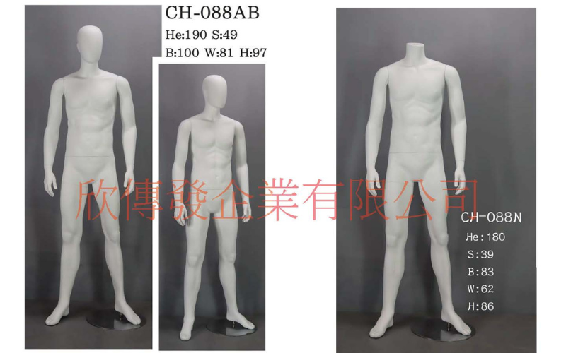 男全身模特兒(268)-有頭