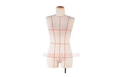 女雙-纖維+胚布-有無紅線-雙用 S2427(004)