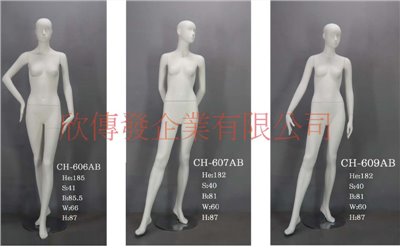 女全身模特兒(268)-有頭