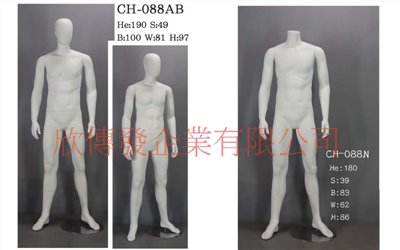 男全身模特兒(268)-有頭