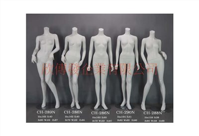 女全身模特兒(268)-無頭
