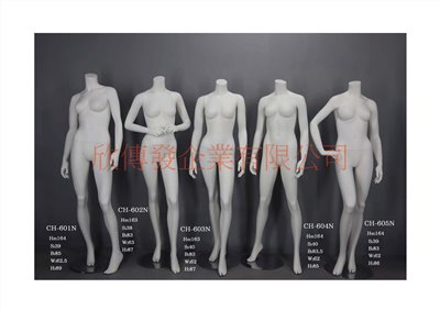女全身模特兒(268)-無頭